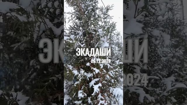 Экадаши 26.12.2024 , пост по лунному календарю