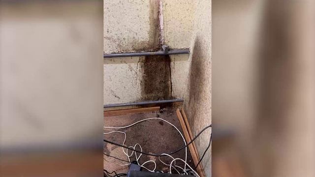 На страже закона 22.12.2024