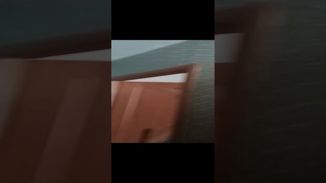 1000031677.mp4