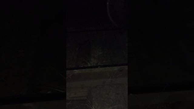 конец шариковой ручке !