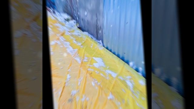 1000010657.mp4 (Собака подготавливает тёс для строительных лесов в доме А- фрейм)