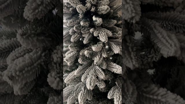 С Новым годом поздравляет Мария Гребенкина