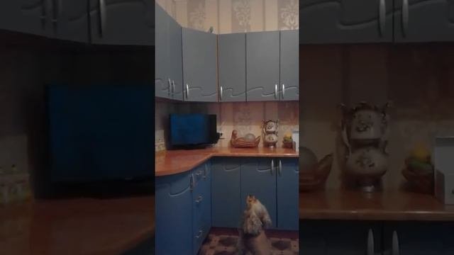 Семейные разборки