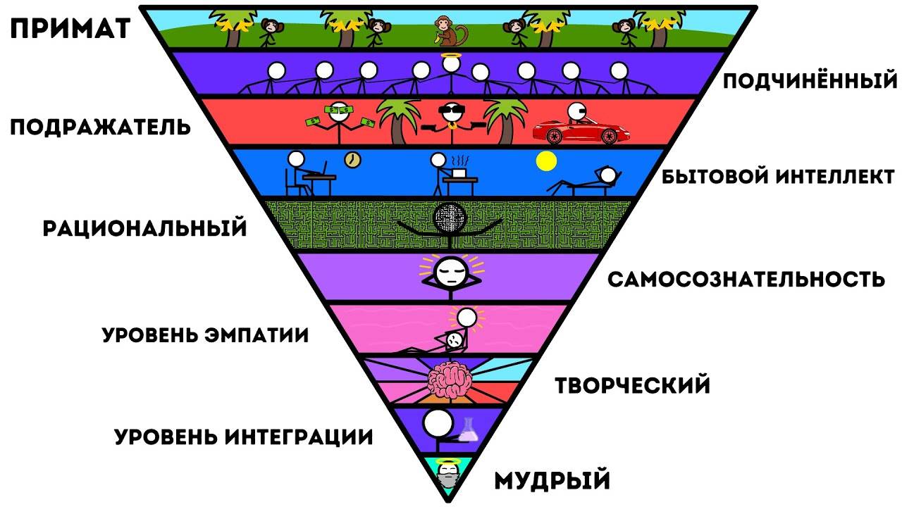 Все уровни Интеллекта Человека за 10 минут