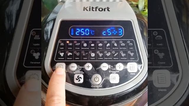 Kitfort-2219 после года эксплуатации.