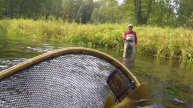 Ловля трофейной форели на короткую нимфу. Polish Nymphing/Czech Nymphing/Nymphing Techniques