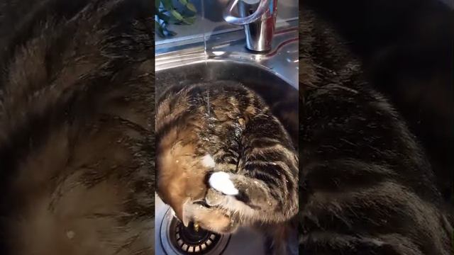 это очень смешно 🤣