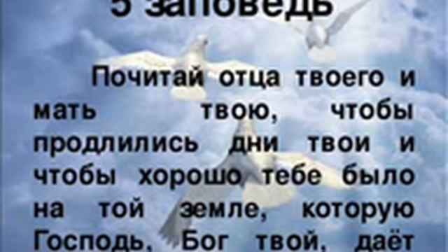 пятая заповедь