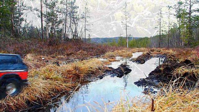 Traxxas TRX4 Ford Bronco 79 s, in the swamp