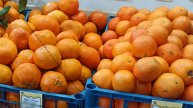 Россия купила у Грузии рекордное для ноября количество мандаринов