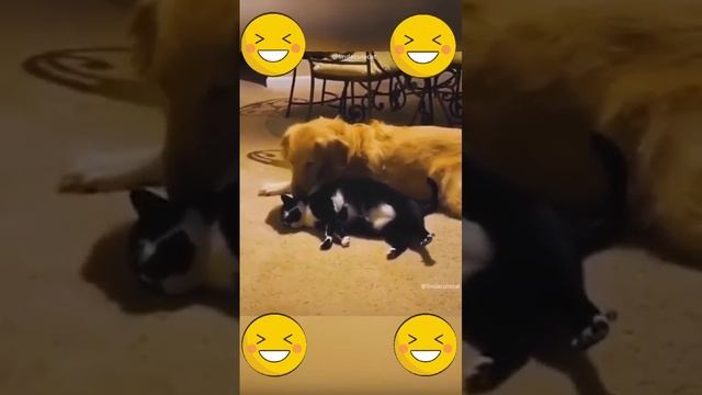 С другом в трудную минуту