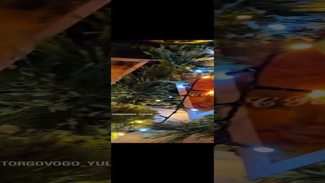 novogodnaya elka.mp4