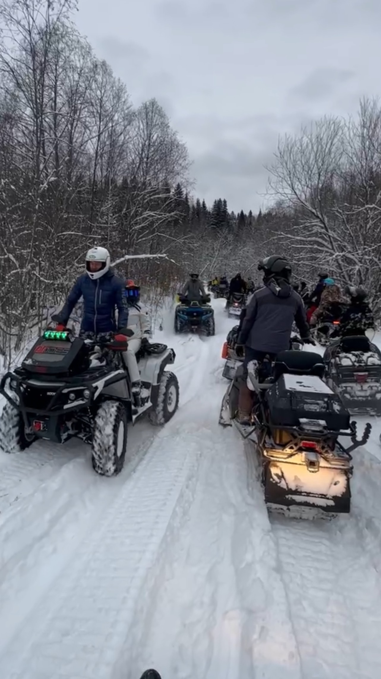 А что выбираешь ты ? Квадроцикл или Снегоход ? #atv #snowmobail #aodes #btp