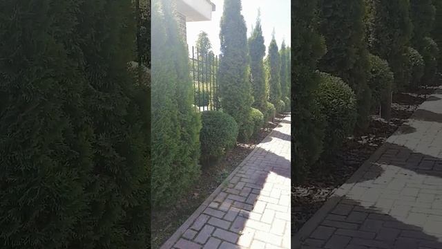 ландшафтный дизайнер