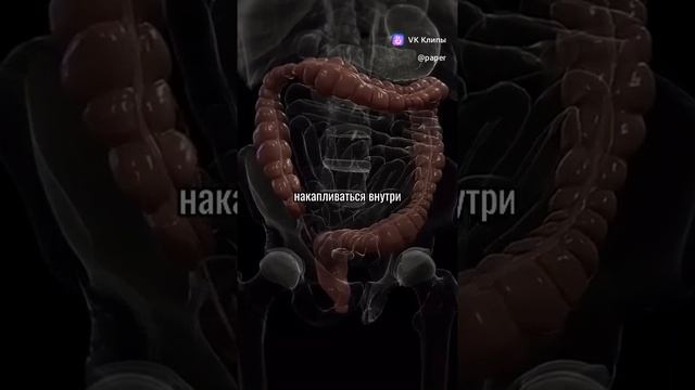 clip-34607647_456257330