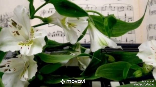 ... слушаю музыку... сейчас...