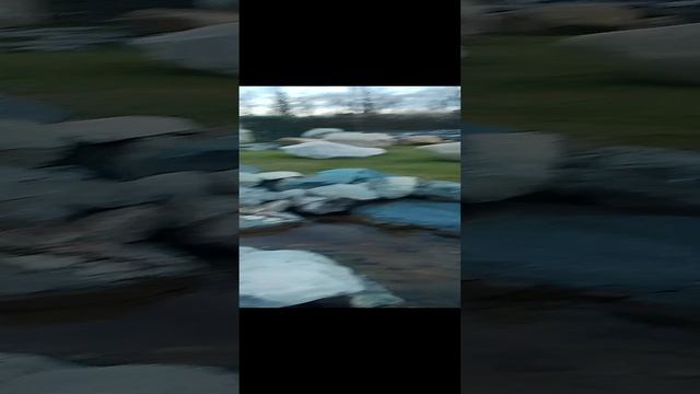 Краснодар японский сад