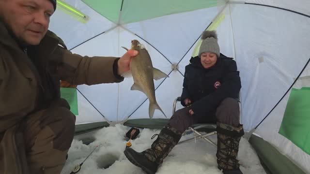 Глухозимье.На безрыбье и рак тоже рыба..Белоярское водохранилище.26 января 2024 год.