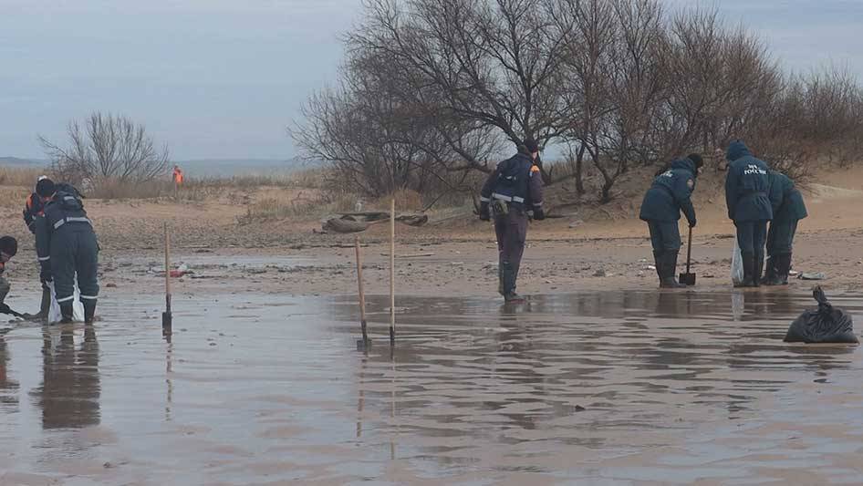 Федеральный режим ЧС не планируют вводить из-за разлива мазута в Черном море