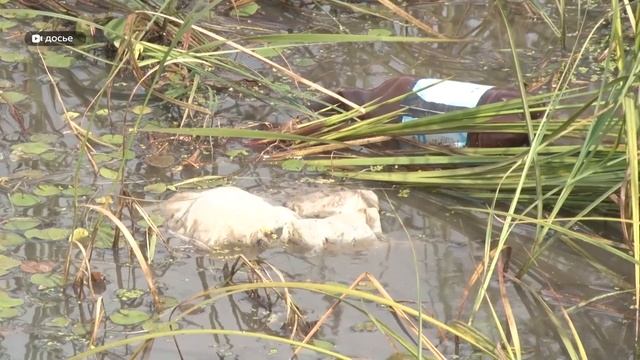 Большой фестиваль зимней рыбной ловли прошел в Алтайском крае