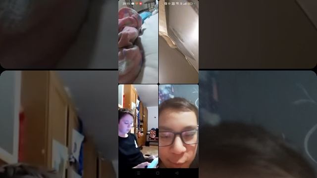 мемные ситуации во время звонка по видео