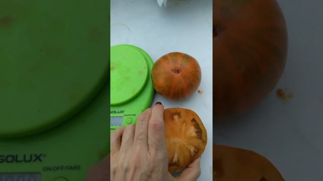 Козула 179.Такое название сорта томата Он шикарный