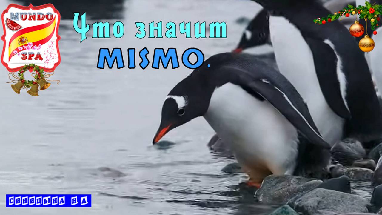 188. Что значит MISMO.