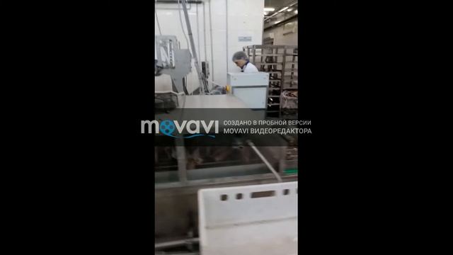 Глазировщик для рыбы оросительного типа ГЛВ-900 / 6281915@mail.ru