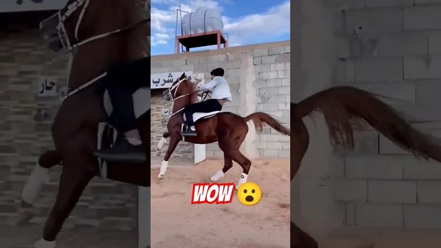WOW HORSE #байтв #horse
