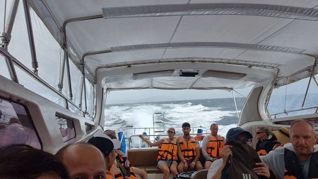 1000058134.mp4