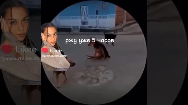 Эта собака не успела потом убежать