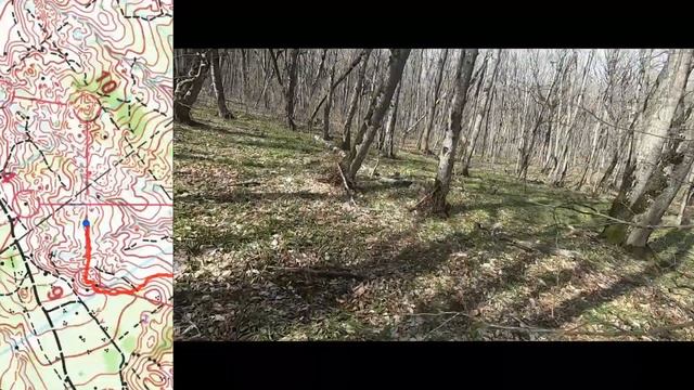 Just Hope • Headcam orienteering • Пастухова 2024, 4 день • С комментариями!