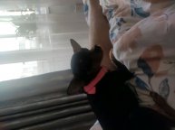 распаковка чеееек
и делаем потом уроки