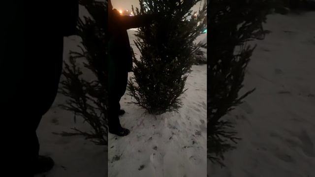 video_1@25-12-2024_14-03-16