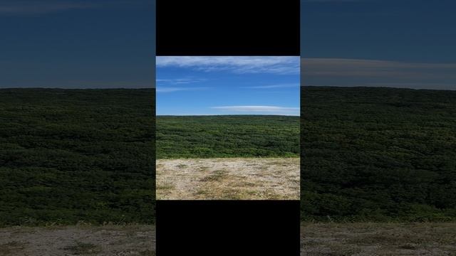 1000744290.mp4
