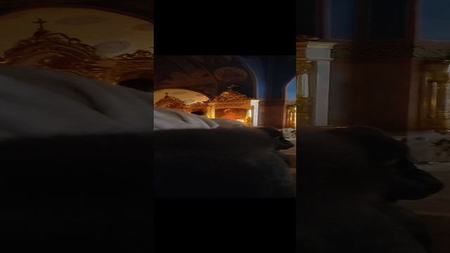 1000142312.mp4 Общая исповедь.Божественная литургия.Свят.Спиридон