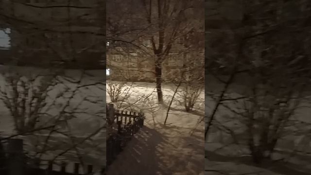 scene_output.mp4