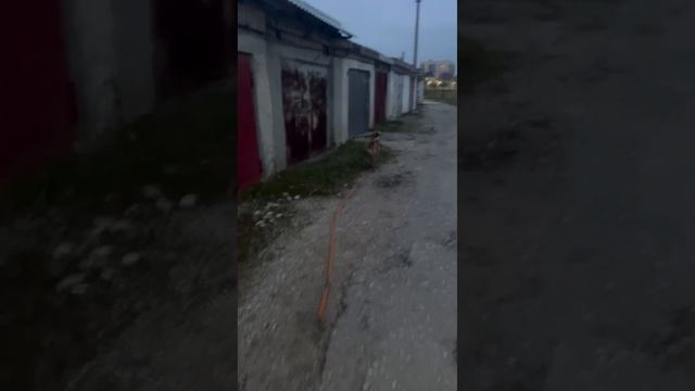 Рэм