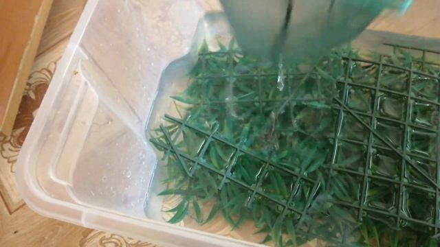 #Аквариум#Гуппи в род дом на роды#