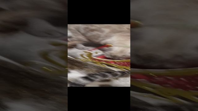 1000008582.mp4