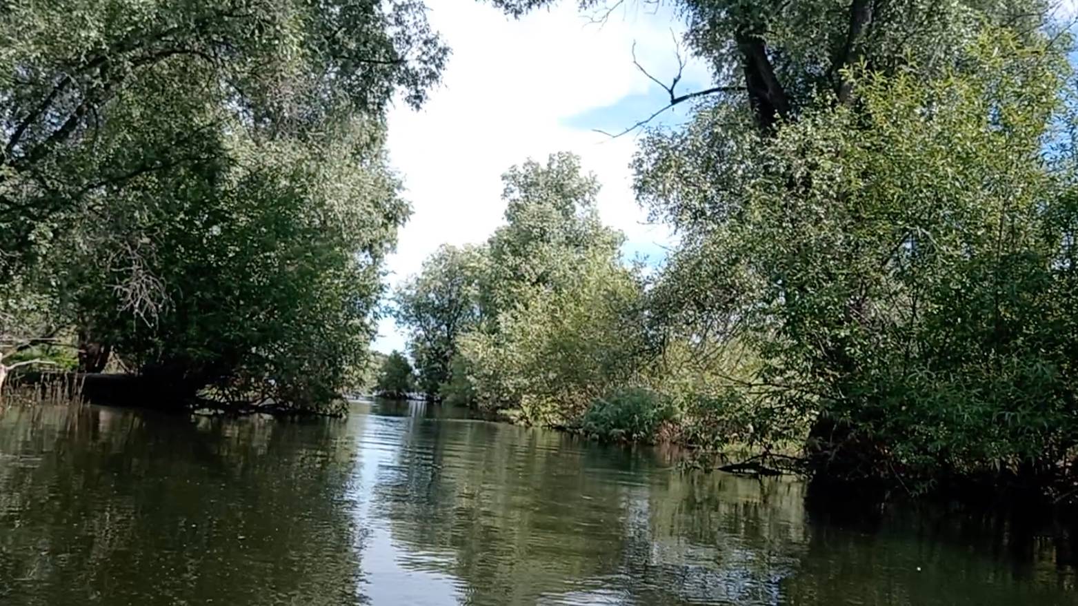 Старик и лодка. Озеро Медяниха