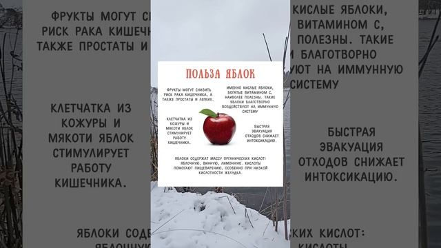 Польза яблокк#правильноепитание #здоровье #еда #motivation