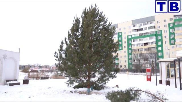 "Наш город" от 24 12 24