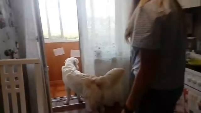 Долгожданная встреча с лучшей подругой//Встреча с Зайцем//Не виделись год//