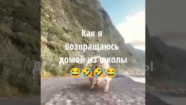 Как я возвращаюсь домой из школы😂🤣🤣😂😂🤣🤣