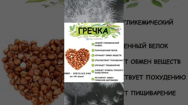 А вы знали?#Shorts#гречка#здоровье#правильноепитание