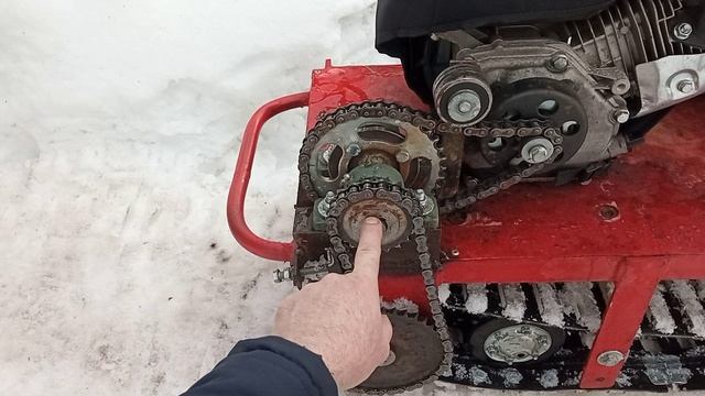VID_20240303_123054.mp4