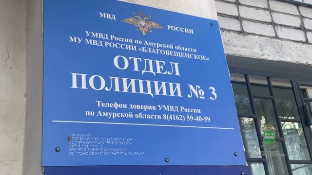 В Благовещенском муниципальном округе полицейские задержали амурчанина, спилившего ель