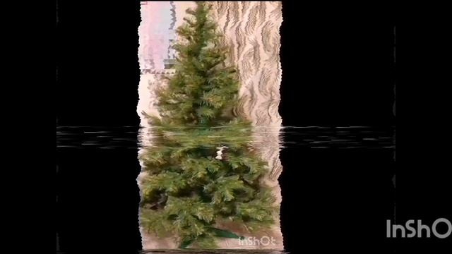 Новогодняя суета, нарядили ёлку 🎄🎆
