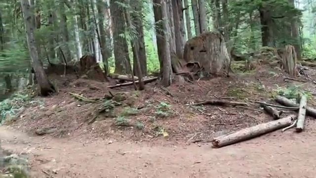 Отдали флэтбед, взяли в аренду конестогу